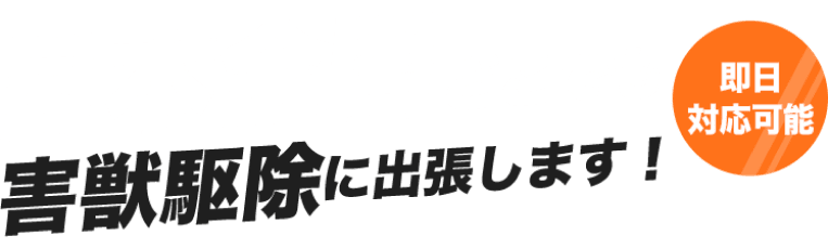 日本全国どこでも害獣駆除に出張します!即日対応可能